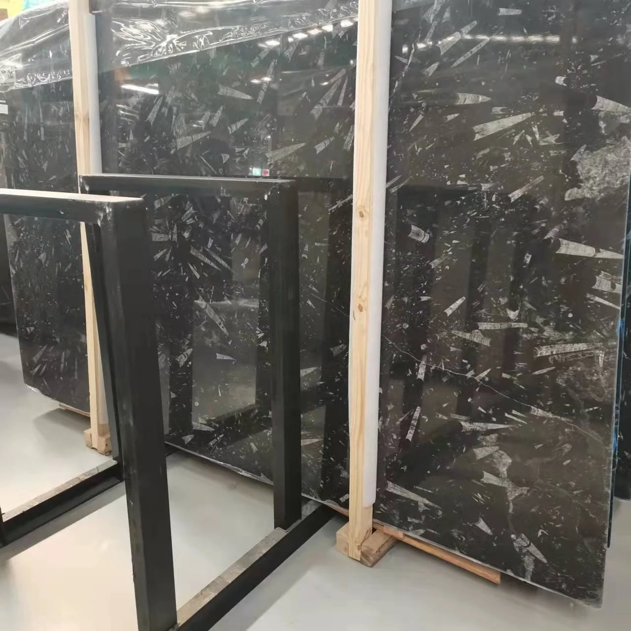 Hot Sale Natural Moroccan Fossil Marble With Low Price