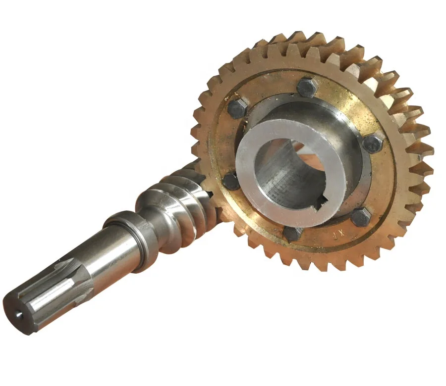 High Quality Precision Parts Worm Gear Parts