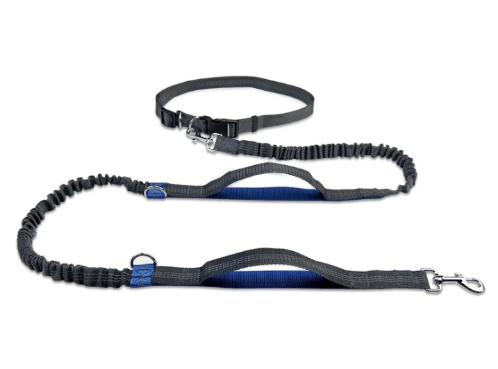 leash1.png