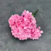 Rosa intenso