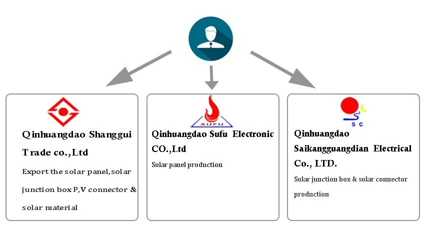 Qinhuangdao Shanggui Trade Co., Ltd. 3