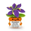 Plante en pot : lys violet et orange.