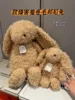 Ripple Bunny