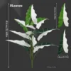 9 foglie di caladiums salyan bianco verde