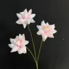 Rosa rosa a tre teste con volant