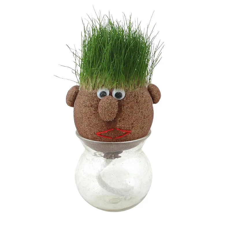 面白い髪の男植物盆栽草人形 Buy 植物盆栽 Product On Alibaba Com