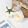 Une seule fleur blanche