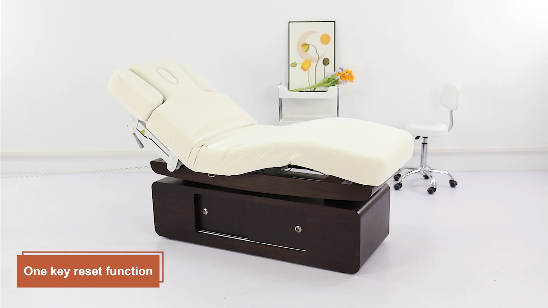 Four Motors White Thermal Professional Esthetician Electric Bed Spa