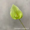 Guanyinlian 1