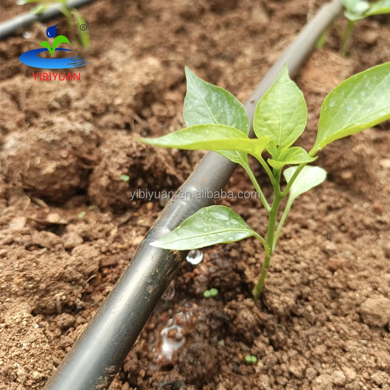 Agricultural Supplies Complete Kit Drip Irrigation System 20 Acres Accessories 16 mm Drip Irrigation Line