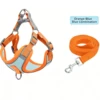 Orange and Blue
