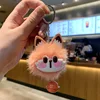 Orange cat