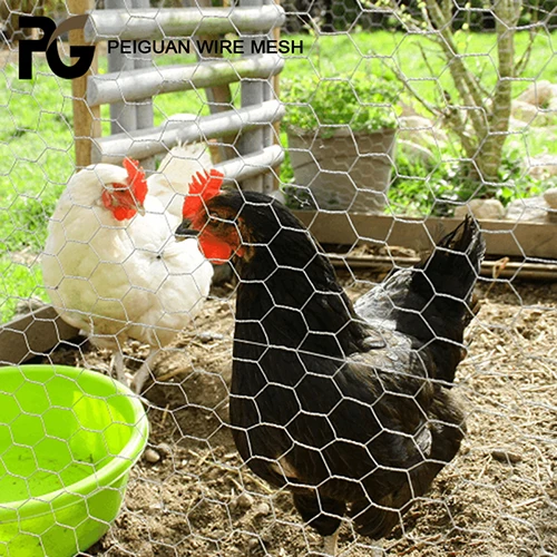 Galvanized Steel Weave Poultry Netting Hexagonal Wire Mesh Chicken Wire Mesh Philippines