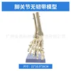 La articulación del pie no tiene ligamentos.