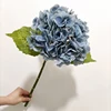 blu 4