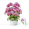 Orchid Bouquet