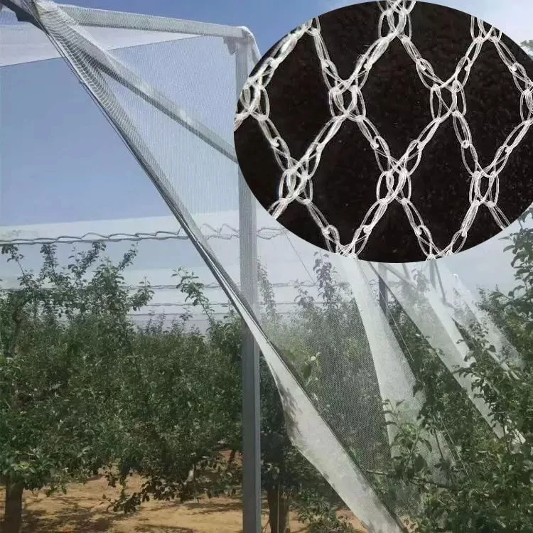 Fruit Tree Anti Hail Net apple Orchard Hail Net Frost protection Anti-hail Net