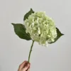 สีเขียวอ่อน