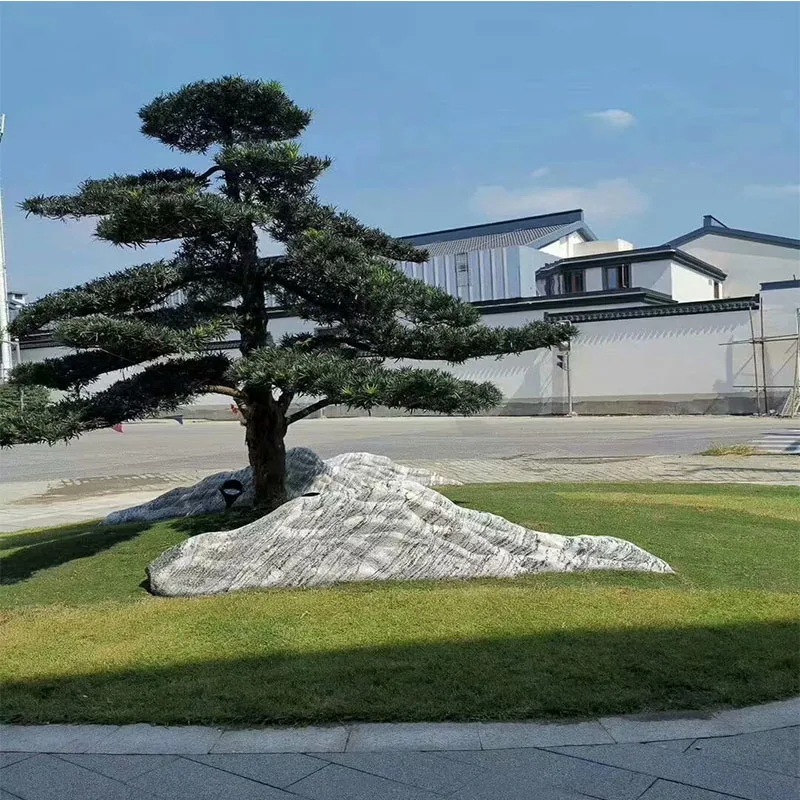 product modern garden rock large landscape rock custom size natural white granite for hotel landscaping design prices-7