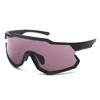 C2-Grey Purple