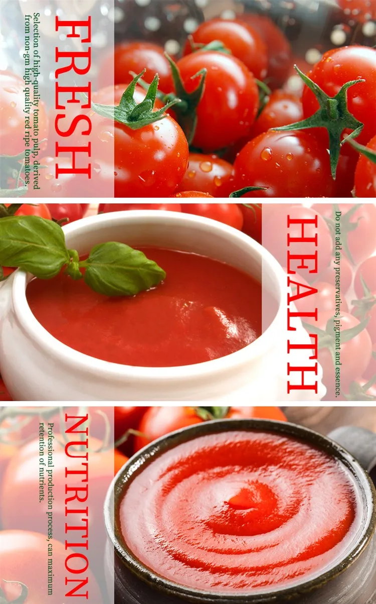 Fresh Tasty Red Tomato Sauce For Sale Bulk Tomato Paste 2.2kg Buy