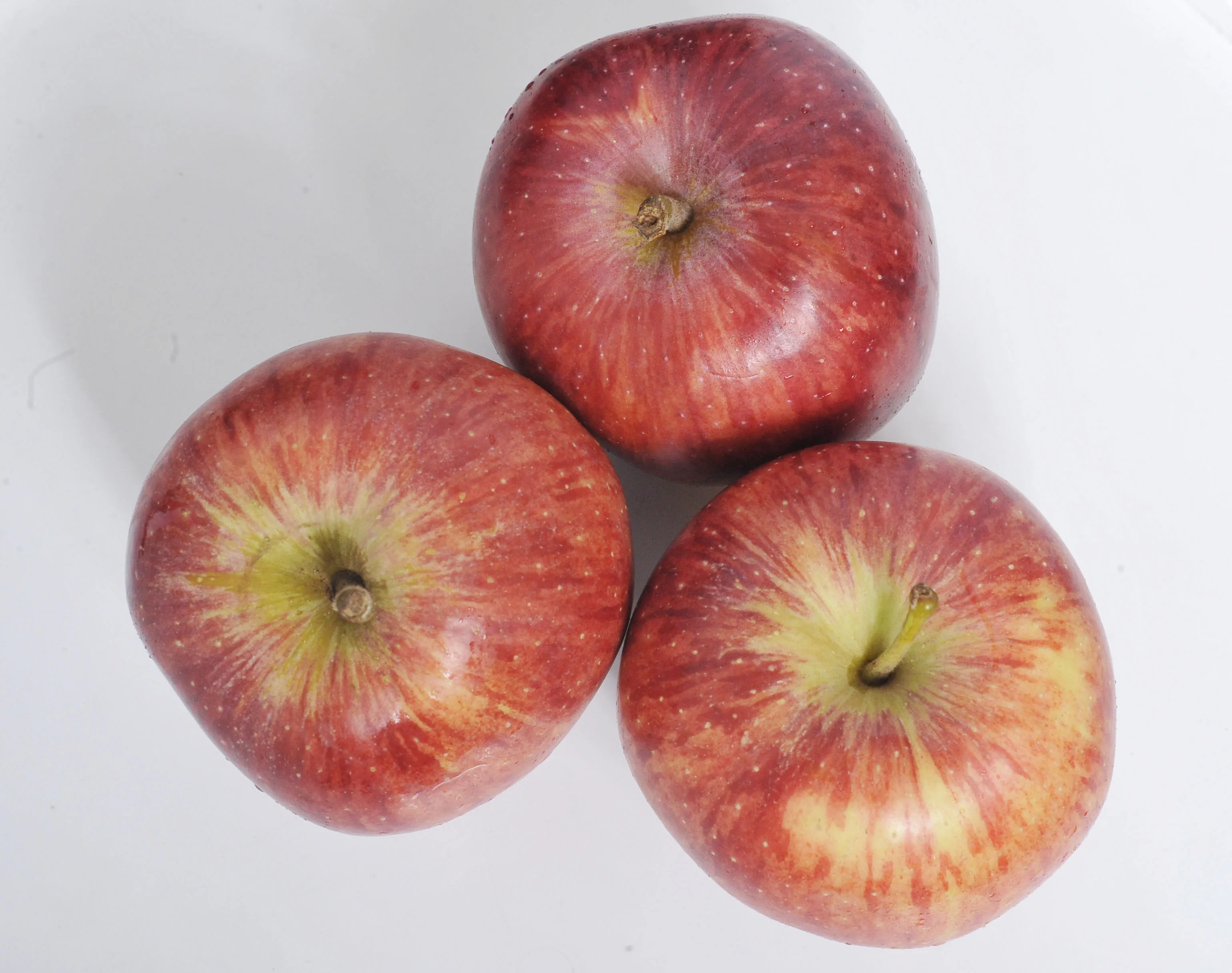 royal gala apples