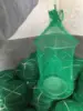 Verde claro