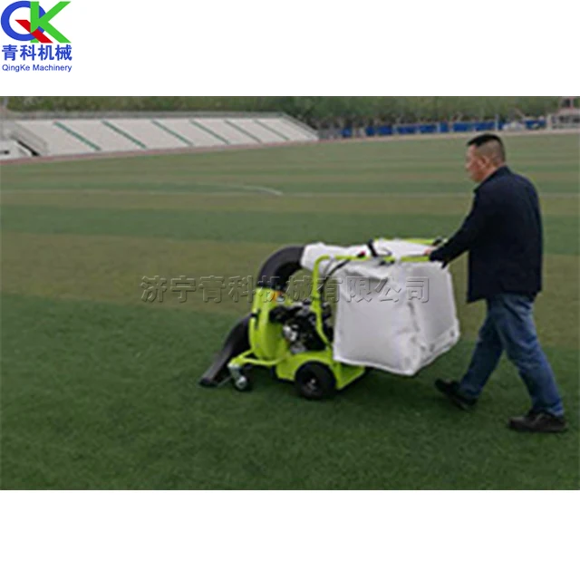 Hand Push Leaf Suction Machine Dry and Wet Leaf Broken Branch Garbage Cleaner Sweep Equipment