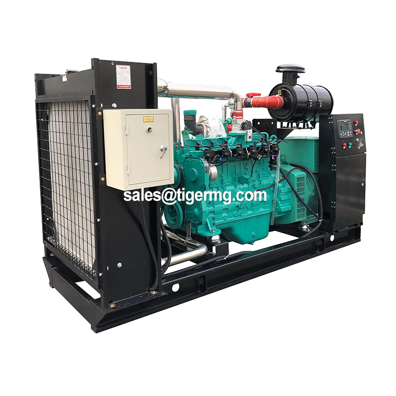 Combined Heat and Power Chp Boiler 100kw Biogas Generator Price