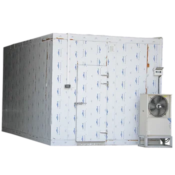 3kw-37kw Ice Cream Cold Storage Room, Capacity: 2 Ton To 30 Ton