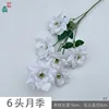 6-headed rose XY white