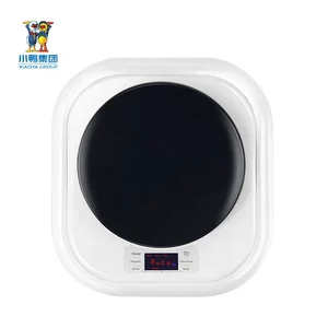 Family-Essential XIAOYA 2.5kg Wall-Mounted Washing Machine for Household Needs