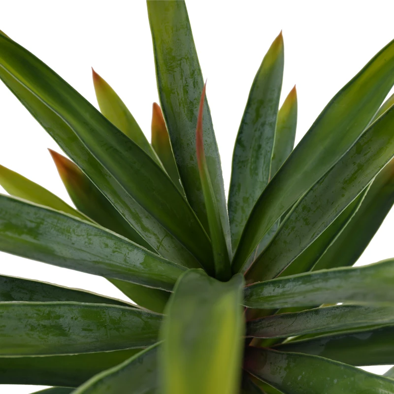 Заводской поставщик оптовая продажа сизаль конопля Агава растения для украшения сада искусственное растение дерево сисалана бонсай