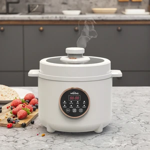 Factory Direct Kitchen Appliances Pressure Cooker Electric 5L 6L with Virual Timer for Home Appliances Kitchen