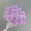Taro purple