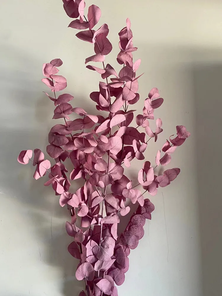 100g Wholesale Factory Promotion Preserved Dried Eucalyptus Stems 100