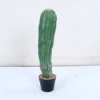 73cm