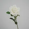 #5 white