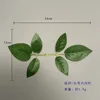Large six-leaf rose