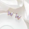 Earrings purple
