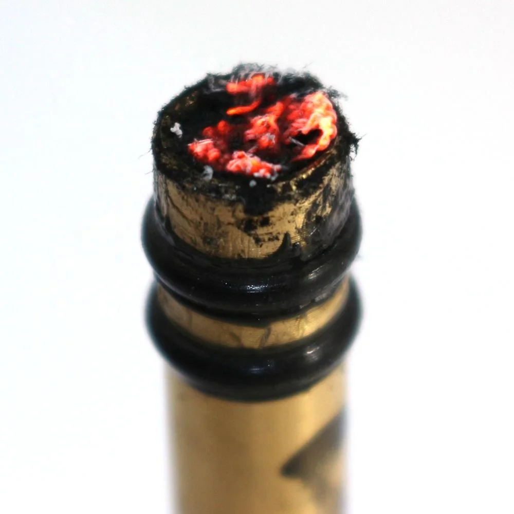 Manuale Di Sopravvivenza Per Pidocchi - SpazioB**K - Foto 12