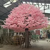 Cerezo