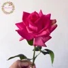 #4 rosa rosa