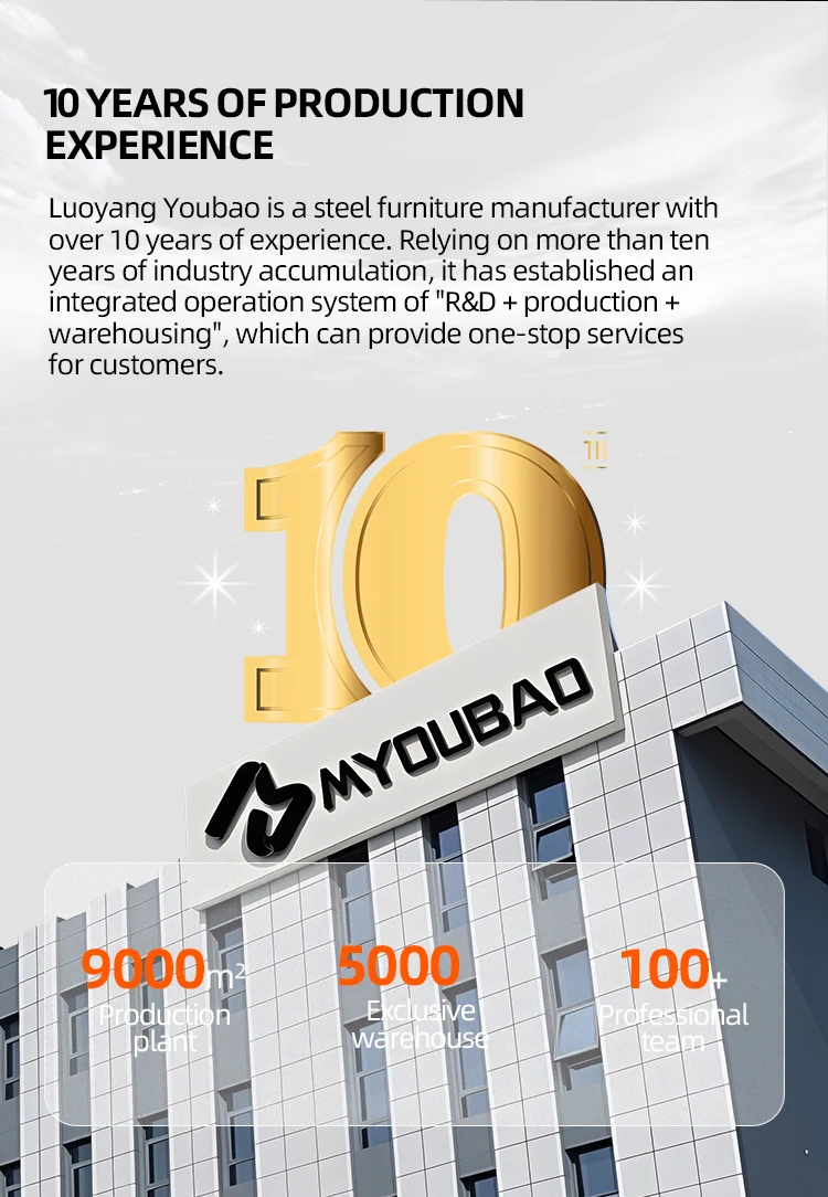 Modern 2-Door Black Steel Metal File Cabinet Adjustable Office and School Storage Garage Cabinets supplier