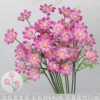 10 flores de verano de 3 cabezas de color rojo rosado