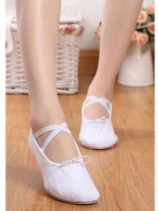 Multicolor Girls Ballet Classical Dance Shoes Soft-Soled Comfortable Ballet Shoes Fabric Upper for Classical Dance Dance Shoes