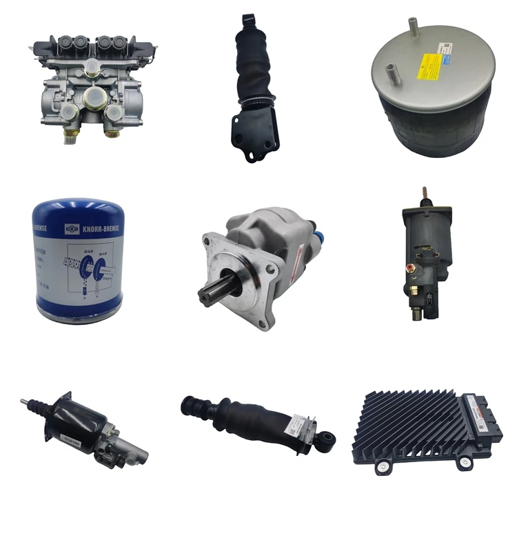 当季大流行 - Parts Truck SHACMAN Wholesale Assembly Shaft Balance グローブ
