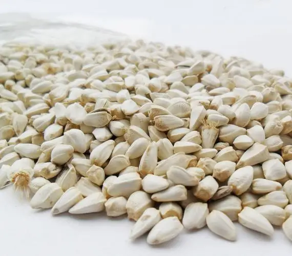 High Quality Safflower Seed Oil Buy Safflower Seed Oil,High Quality,Plant Extract Safflower