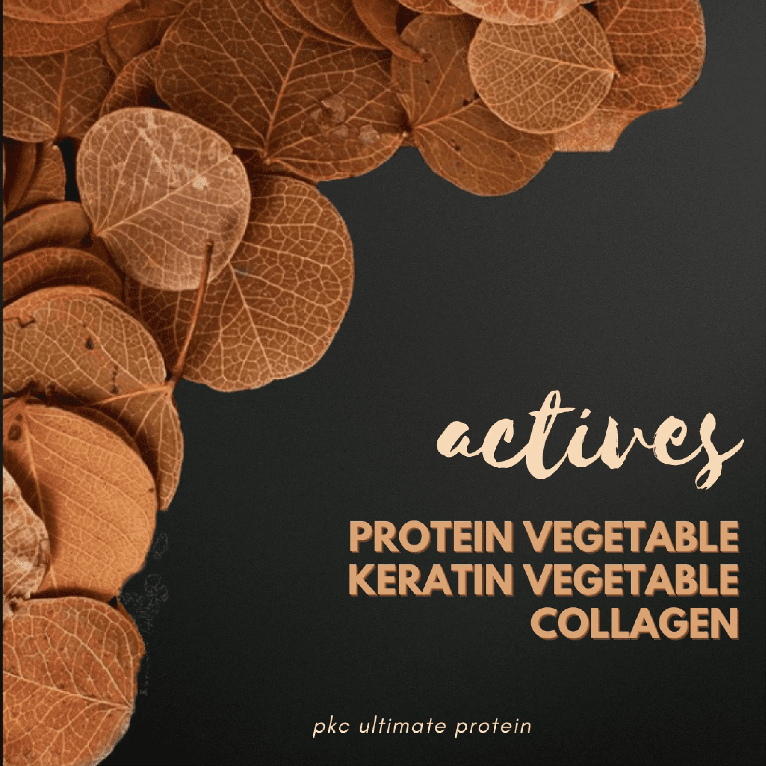 Maxiline Professional Pkc Ultimate Protein Keratin With Collagen