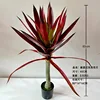 Nuevo Agave Rojo 65cm